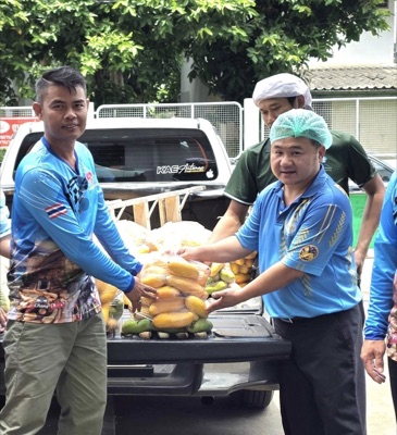 ส่งมอบต้นมะม่วงมหาชนก แก่เรือนจำและโรงพยาบาลจังหวัดเพชรบูรณ์